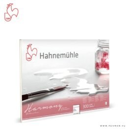 hahnemuhle harmony a4 cold press 001