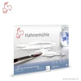 hahnemuhle harmony a4 rough 001