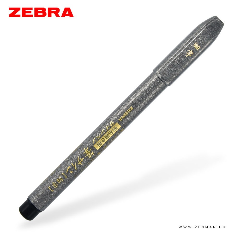 Zebra Fude Brush Pen Pennello A Doppia Punta - Medium E Fine (Modello WFT5) - Per Calligrafia E Disegno