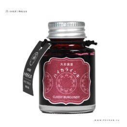 Teranishi Guitar Taisho Haikara toltotolltinta 40 ml Classy burgundy 001