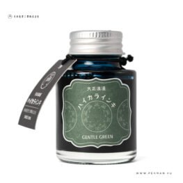 Teranishi Guitar Taisho Haikara toltotolltinta 40 ml Gentle green 001