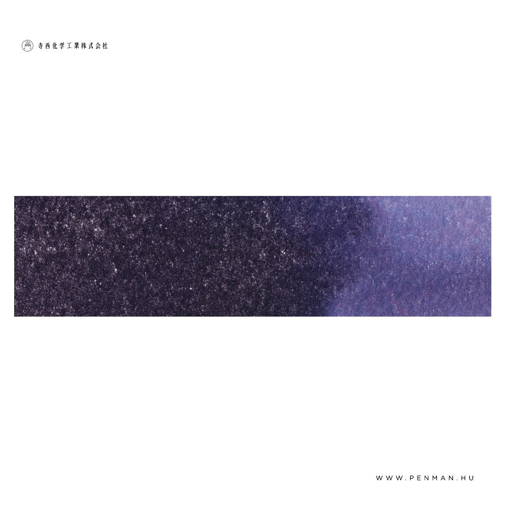 Teranishi Guitar Taisho Haikara toltotolltinta 40 ml Salon de violet 003