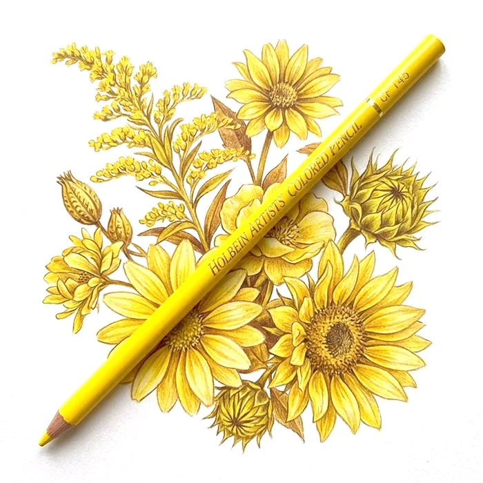 holbein muvesz szines ceruza Dandelion OP145 ADS main