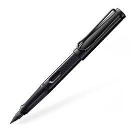 lamy Safari F meteorite toltotoll 001